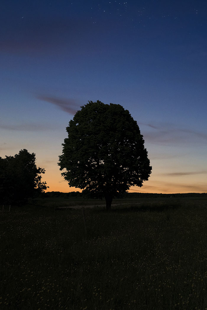 Image of a 